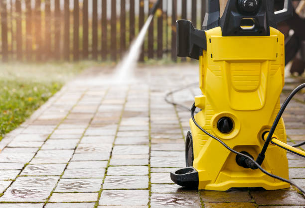 Animal Enclosure Cleaning in White City, UT